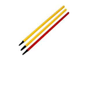 Palina slalom allenamento